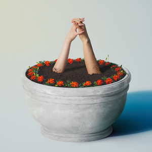 91视频网最新入口
