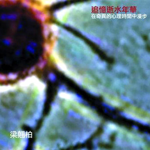 91视频网最新入口
